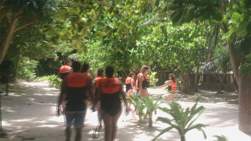 ピピ島から行くピピ･レイ島のマヤベイを含む観光ツアーを徹底紹介！
